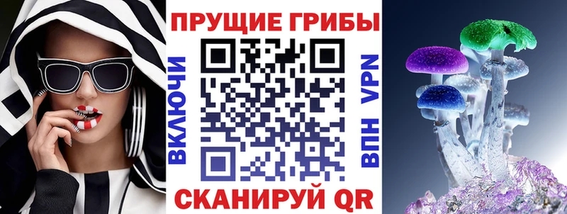 Галлюциногенные грибы MAGIC MUSHROOMS  как найти закладки  Петровск 